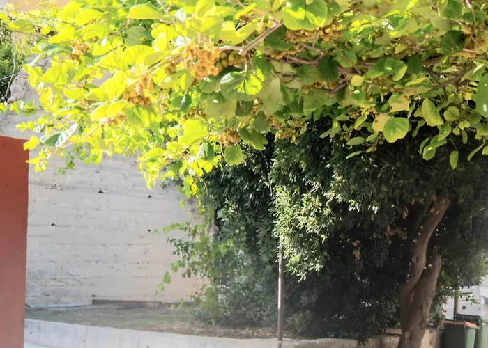 Sobe Matesa 3* Vodice